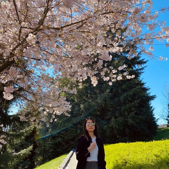 Meet your Posher, Anna - Picture 1 of 1